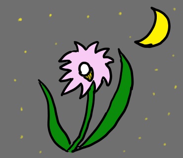 ナイトフラワー　映画レビュー