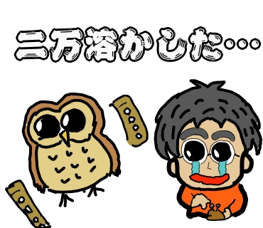 スターリーフォレスト　レビュー