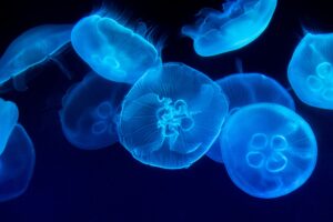 海の街　aoco 　体験　レビュー