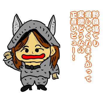 野良猫でも愛してくれますか　正直レビュー